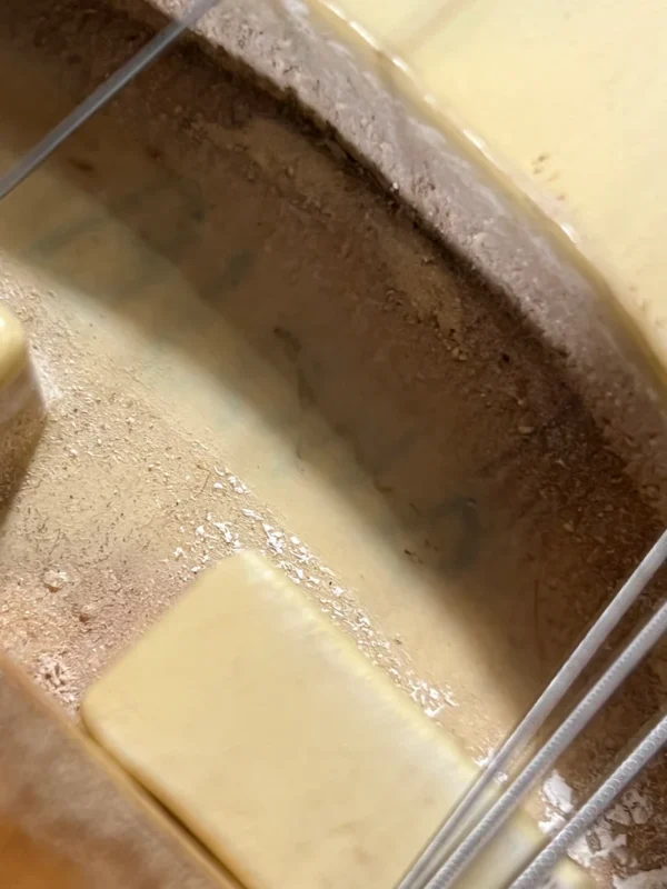 Fender 1974-75 Telecaster