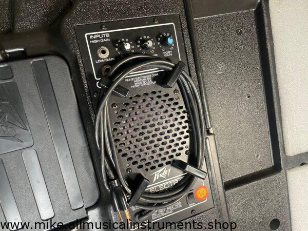 Peavey T-15 1982 with Amplifier Case Used