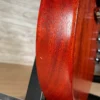 Gibson Les Paul Special Tribute
