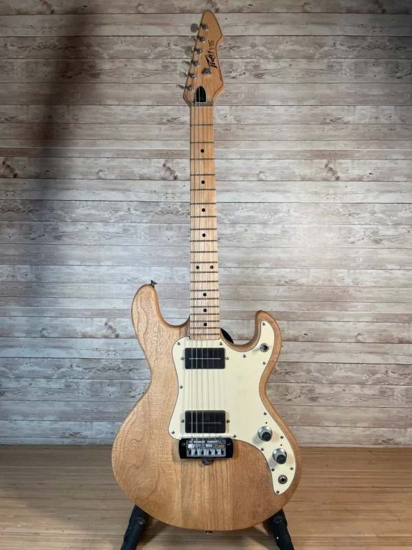 Peavey T-15 1982 with Amplifier Case Used