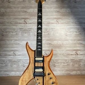 BC Rich Exotic Series Bich 10-String Used