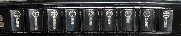 Borsini C-system 5-row Chromatic Accordion
