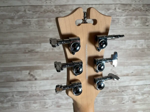 D'Angelico Premier Bedford SH Used