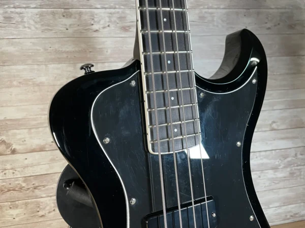 Dunable R2-DE Bass