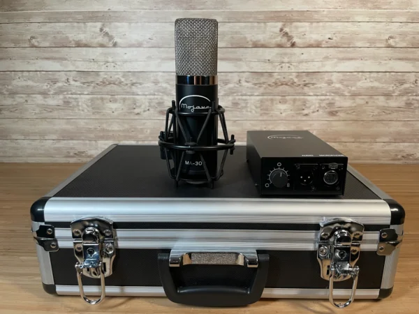 Mojave MA-300 Large Diaphragm Multi-Pattern Tube Condenser Microphone Used
