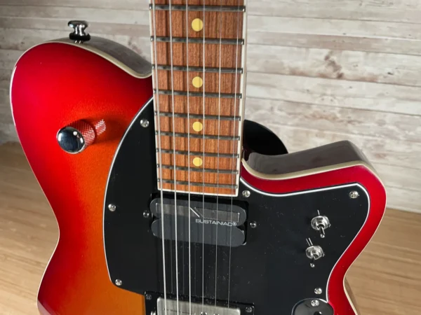 Reverend Reeves Gabrels RG-SUS Limited Edition with Molded Hardshell Used