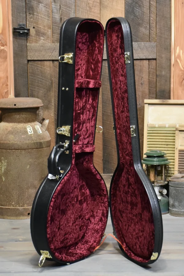 Gold Tone CEB-5 5-String Cello Banjo With Case