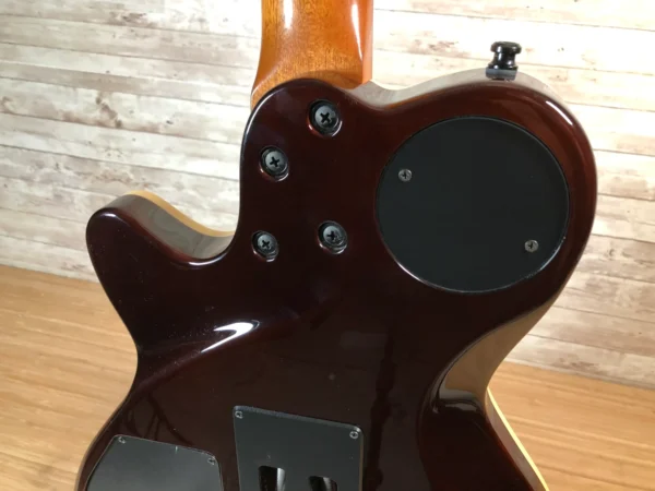 2Godin XTSA Limited Edition Rosewood Used Godin XTSA Limited Edition Rosewood Used