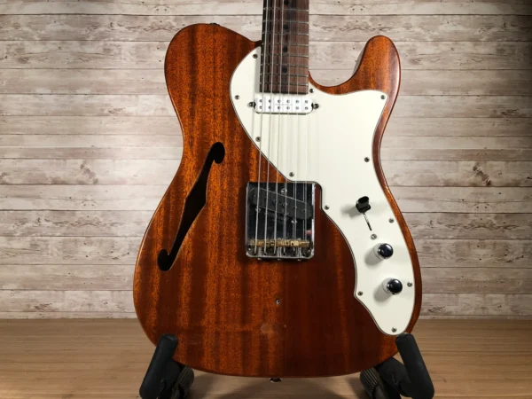 Custom Thinline Partscaster Used