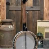Gold Tone CEB-5 5-String Cello Banjo With Case