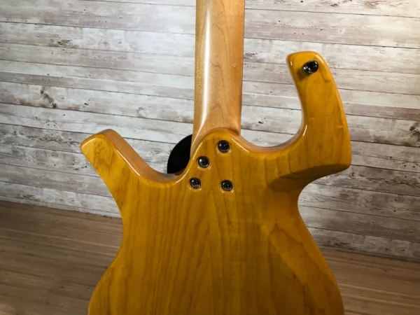 4Parker P-44 P-36 Hybrid with Lindy Fralin Pickups Used Parker P-44 P-36 Hybrid with Lindy Fralin Pickups Used