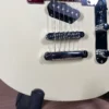 Reverend Buckshot Used