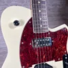 Reverend Buckshot Used