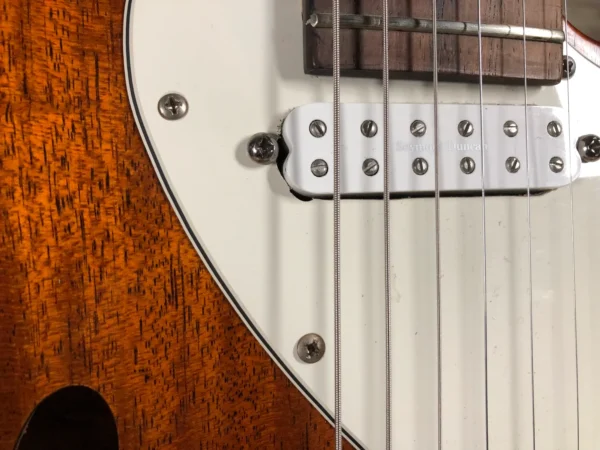 Custom Thinline Partscaster Used