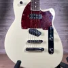 Reverend Buckshot Used