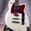 Reverend Buckshot Used
