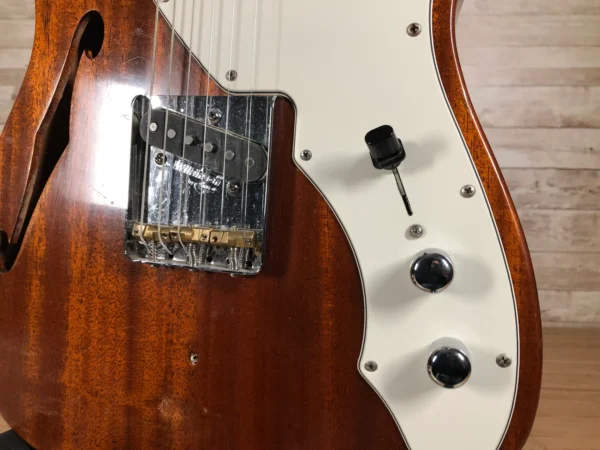 Custom Thinline Partscaster Used