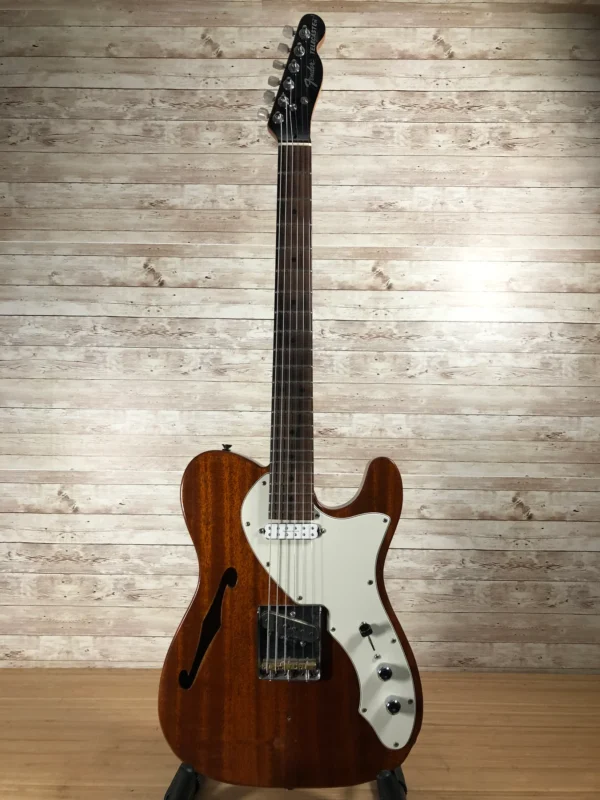 Custom Thinline Partscaster Used