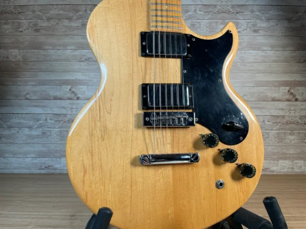 Gibson L6-S 1976 Used
