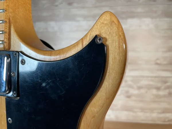 Gibson L6-S 1976 Used