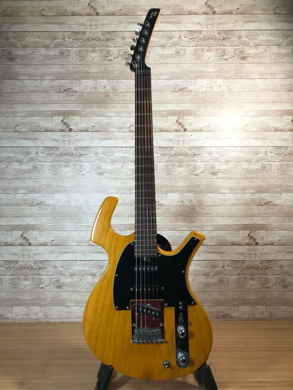 Parker P-44 P-36 Hybrid with Lindy Fralin Pickups Used Parker P-44 P-36 Hybrid with Lindy Fralin Pickups Used