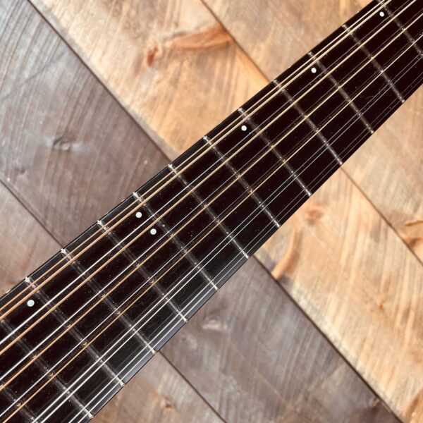 Godin A12 SG Solid Cedar Cutaway 12 String w/ Electronics and Bag