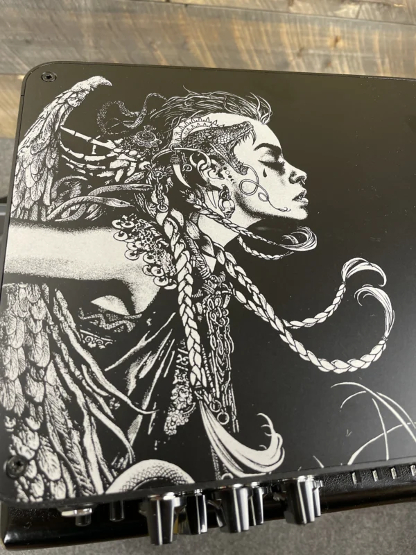 Darkglass Microtubes 900v2 “Euryale” Custom Art Limited Edition 900 watt Bass Head