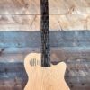 Godin A12 SG Solid Cedar Cutaway 12 String w/ Electronics and Bag