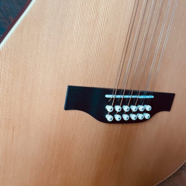 Godin A12 SG Solid Cedar Cutaway 12 String w/ Electronics and Bag